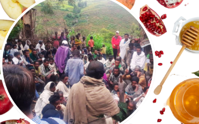 Preparing for the Holidays